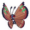 Shadow Vivillon (Archipelago)